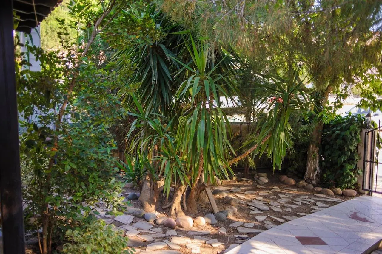 Beautiful Home With Exotic Garden At Peukoxori! Pefkochori Apartment