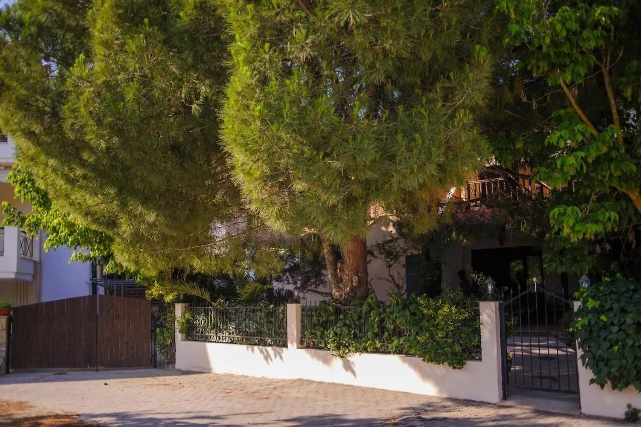 Beautiful Home With Exotic Garden At Peukoxori! Pefkochori